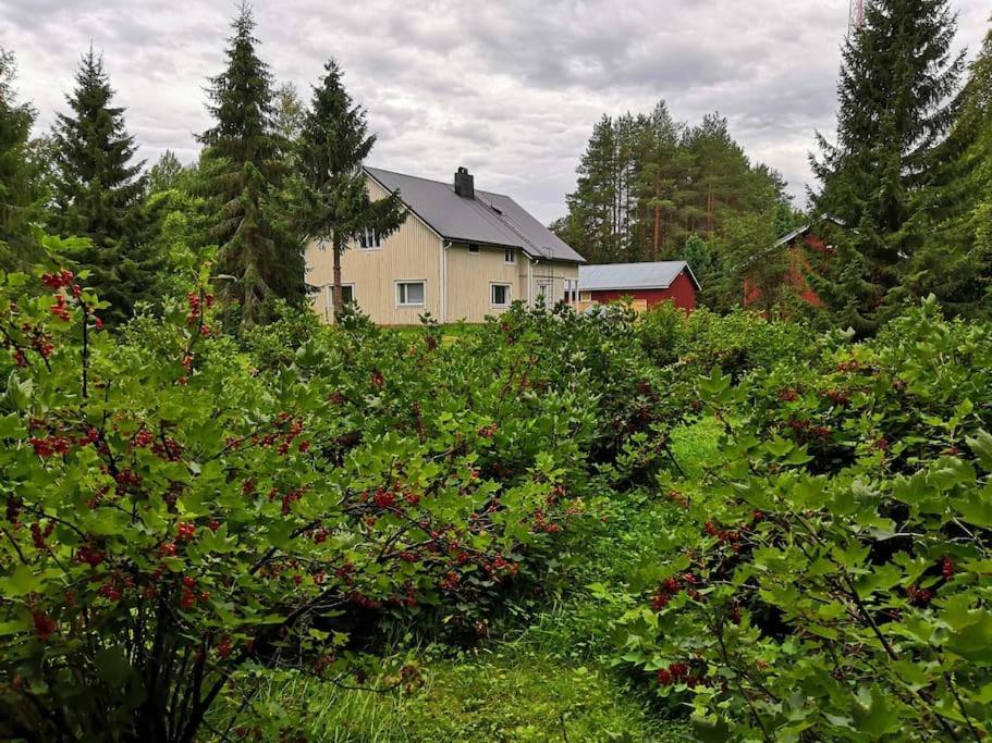 Villa Mukava Mummonmoekki Maaseudun Rauhassa Koivu Esterno foto