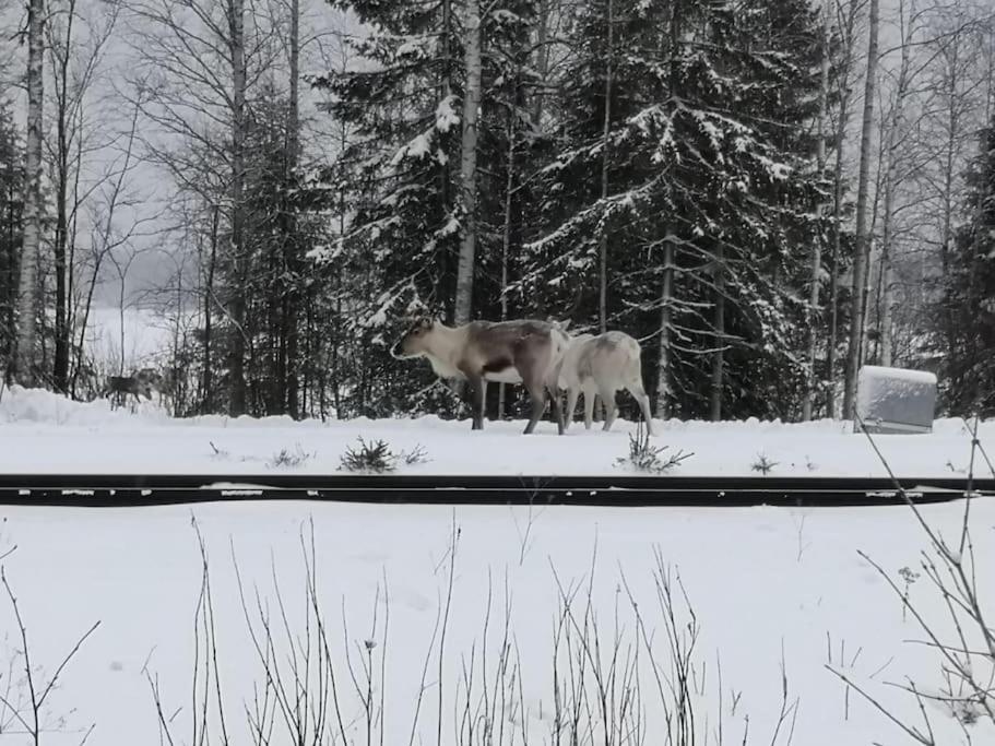 Villa Mukava Mummonmoekki Maaseudun Rauhassa Koivu Esterno foto