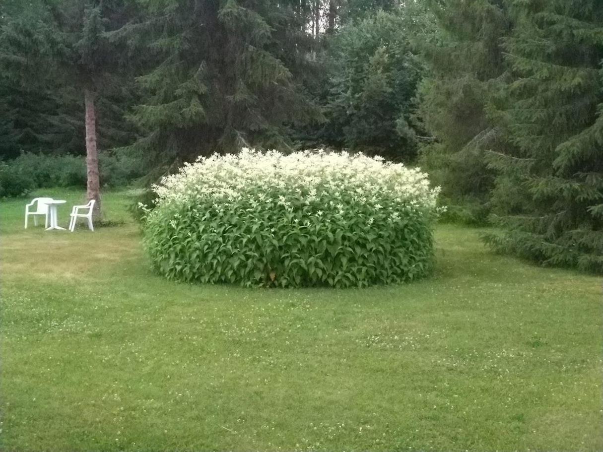 Villa Mukava Mummonmoekki Maaseudun Rauhassa Koivu Esterno foto