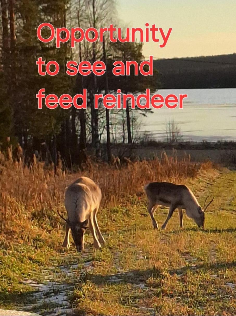 Villa Mukava Mummonmoekki Maaseudun Rauhassa Koivu Esterno foto